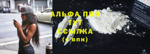ешки Алексин