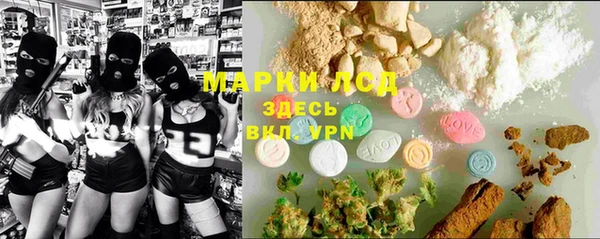 прущие грибы Алексеевка