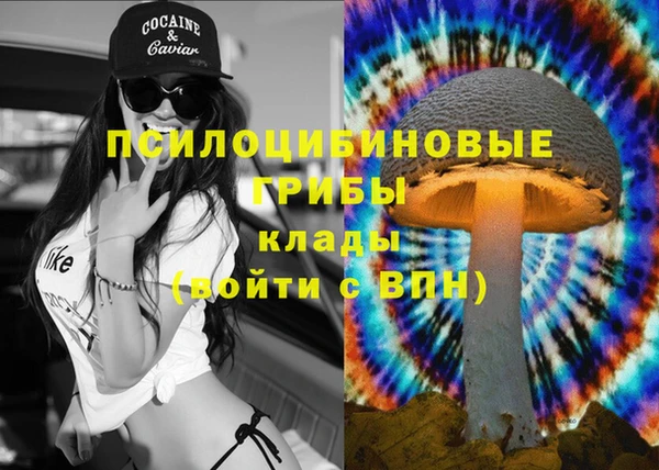 прущие грибы Алексеевка