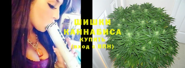 молекула духа Алзамай