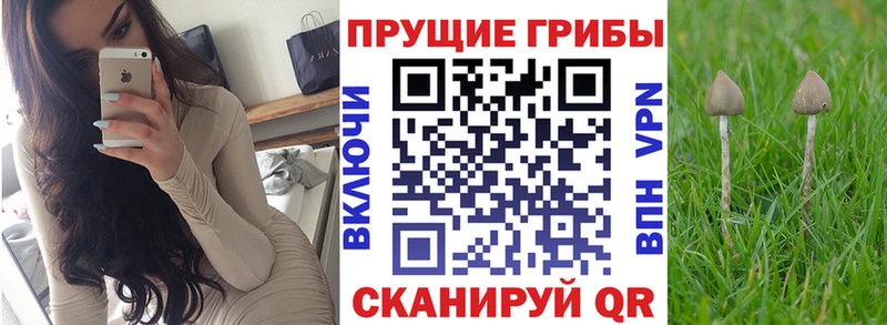 Галлюциногенные грибы ЛСД  Бронницы 